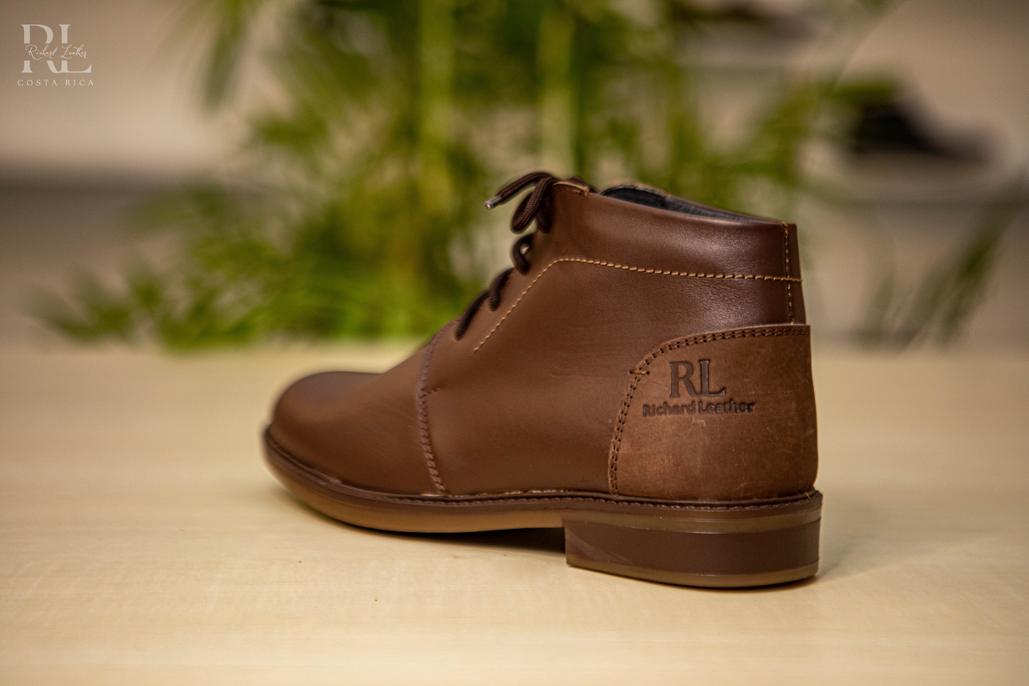 Frisón Café Seb Grasso