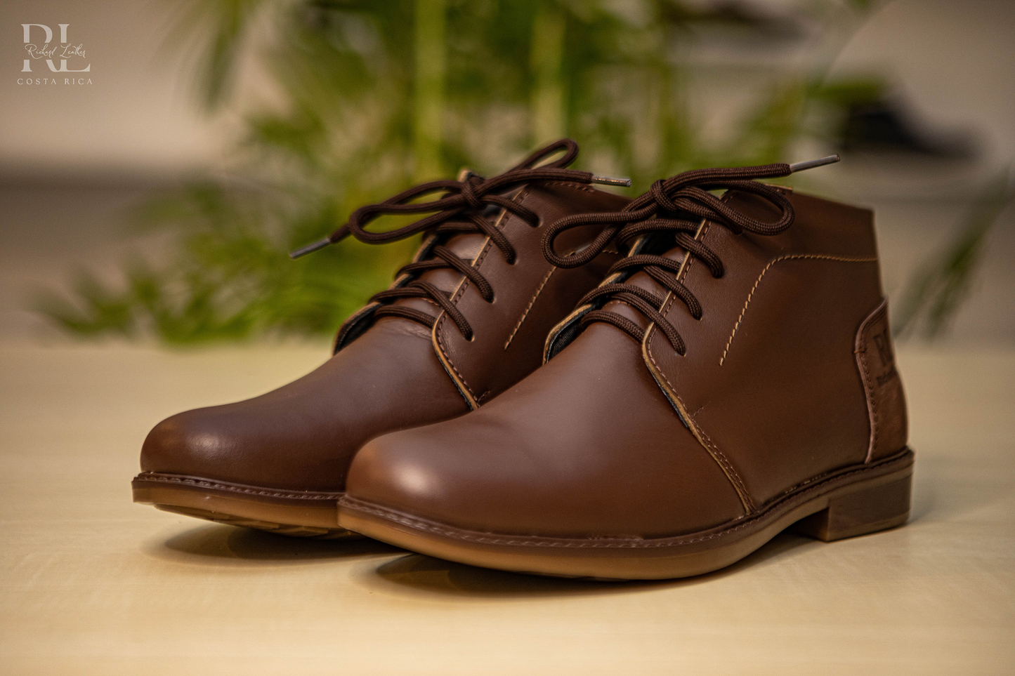 Frisón Café Seb Grasso