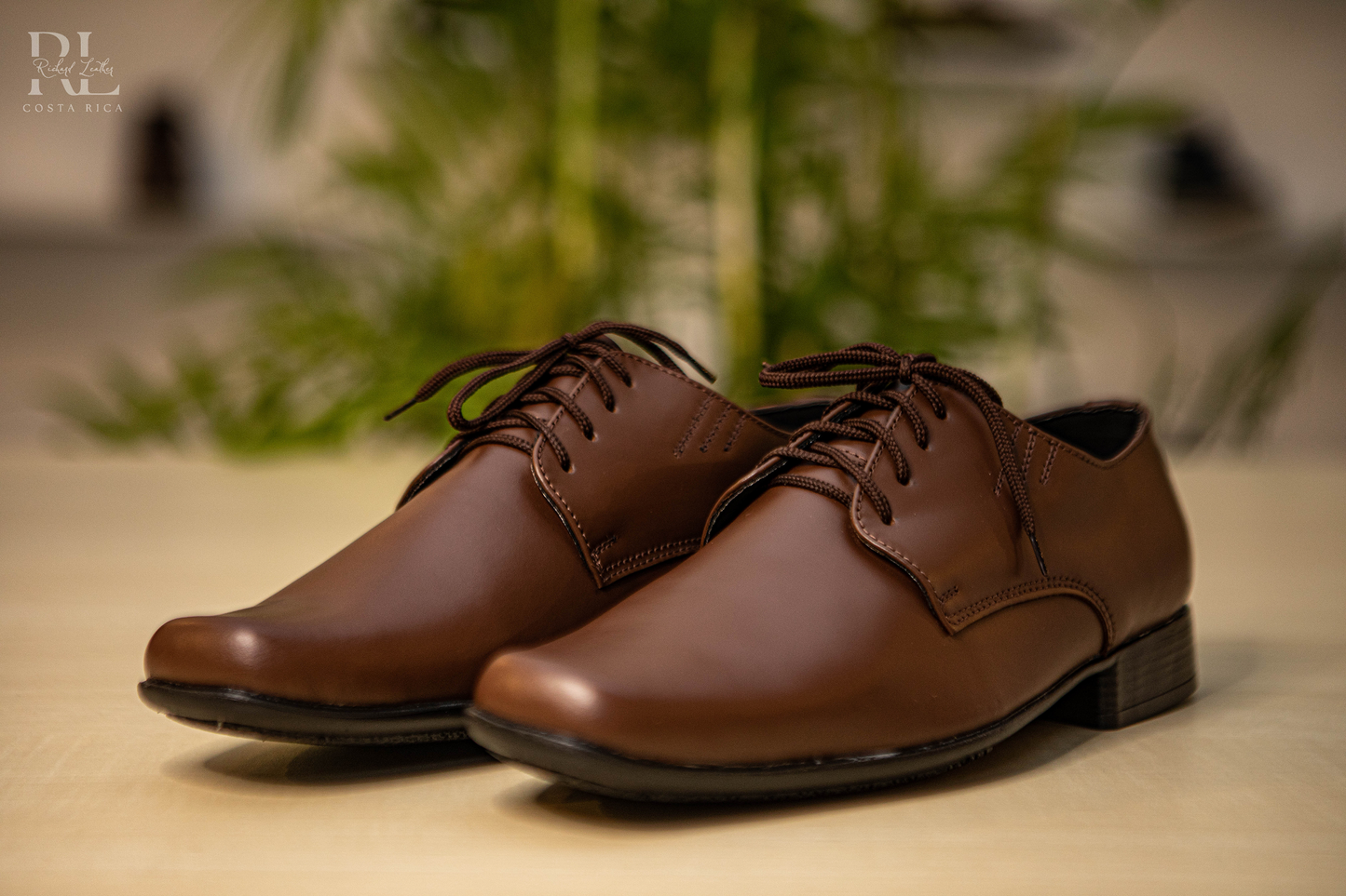 Ejecutivo cuero café